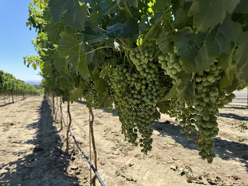 Photo of Whitman Hill Winery