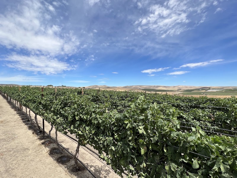 Photo of Whitman Hill Winery