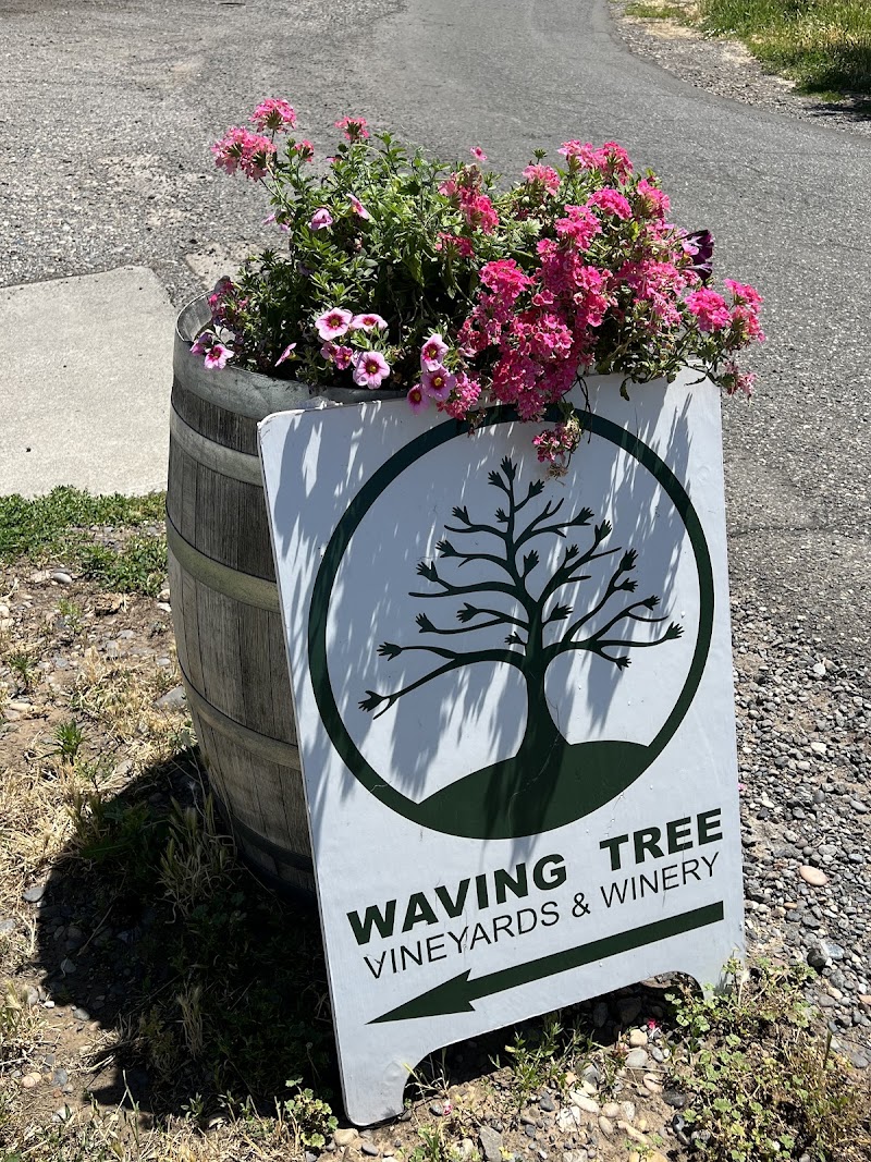 Photo of Waving Tree Winery & Vineyards
