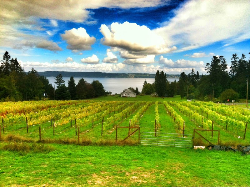 Photo of Marrowstone Vineyards