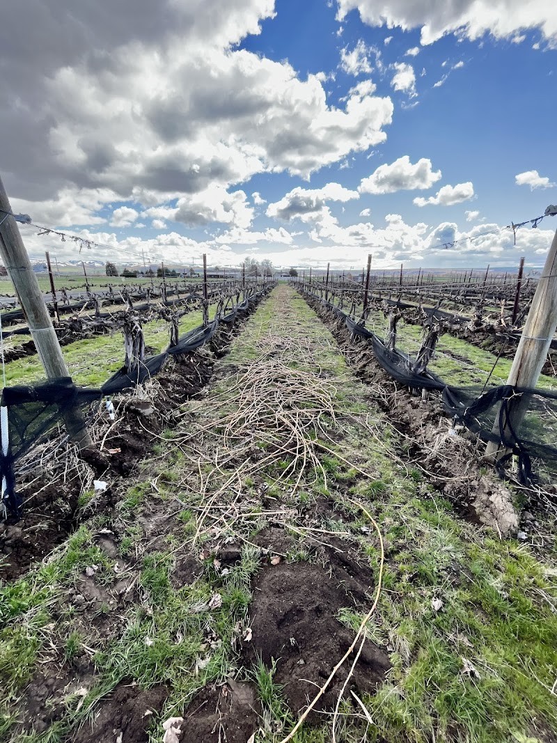 Photo of Floating Balance Cellars