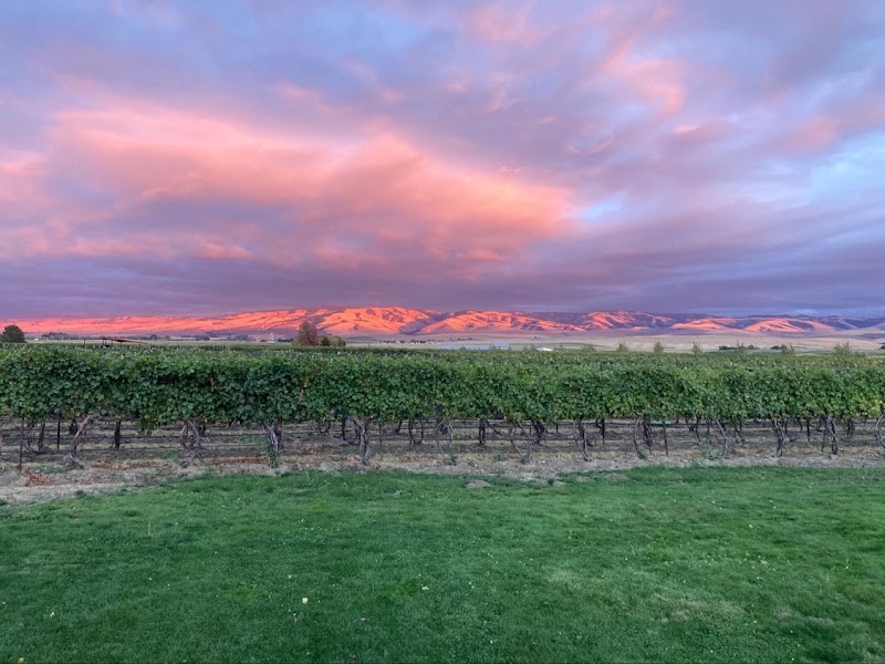 Photo of KINHAVEN Winery & Vineyard