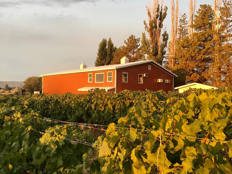 Photo of Domanico Cellars