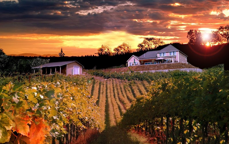 Photo of Skagit Crest Vineyard & Winery