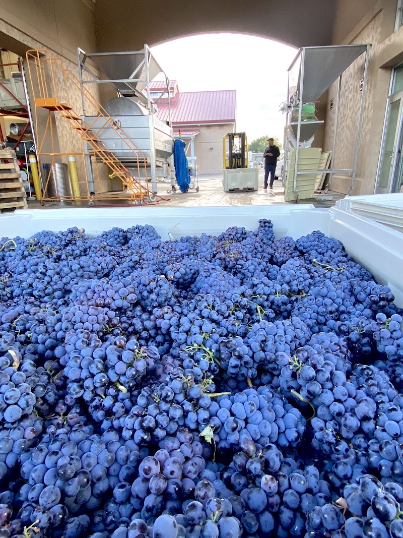 Photo of Palencia Wine CO & Monarcha Winery