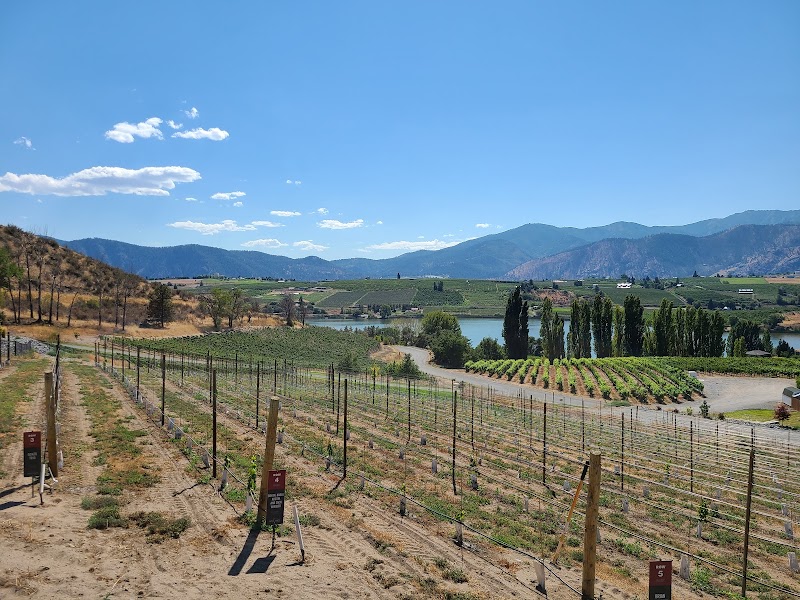 Photo of Tipsy Canyon Winery