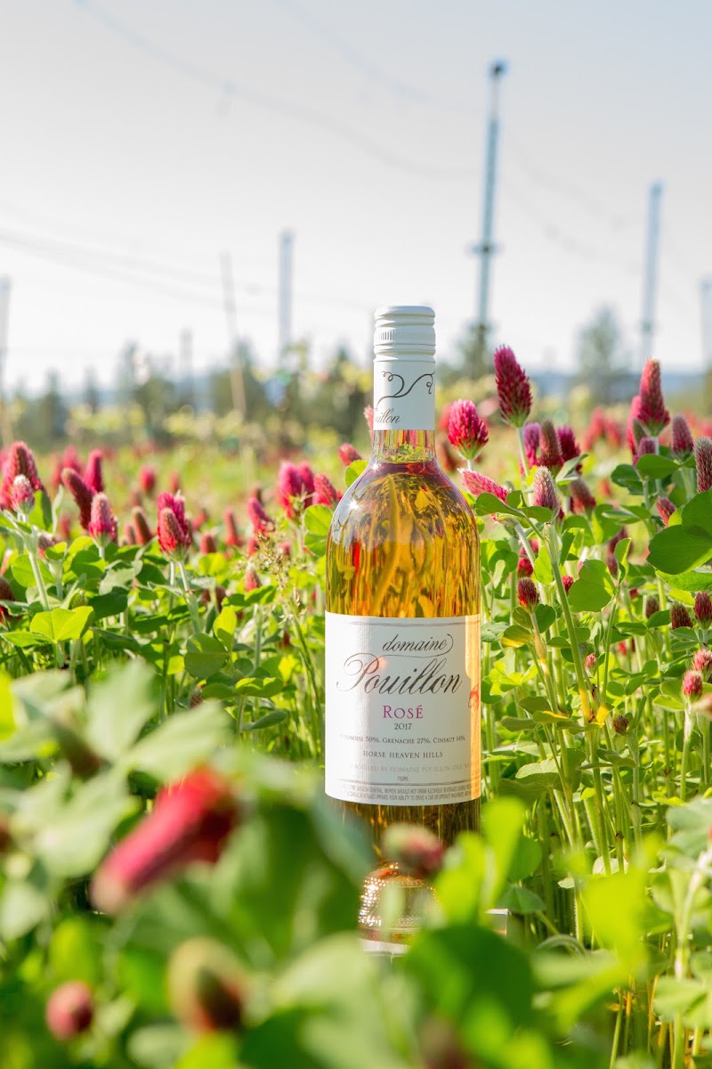 Photo of Domaine Pouillon