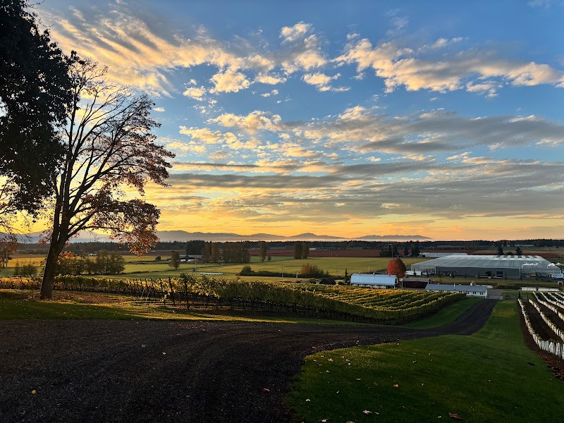 Photo of Van Vino Vineyard