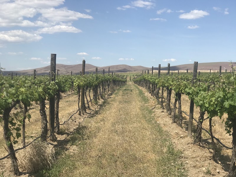 Photo of Portteus Winery