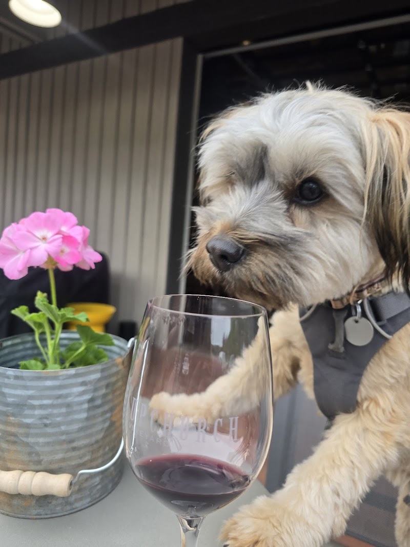 Photo of Upchurch Vineyard Tasting Room