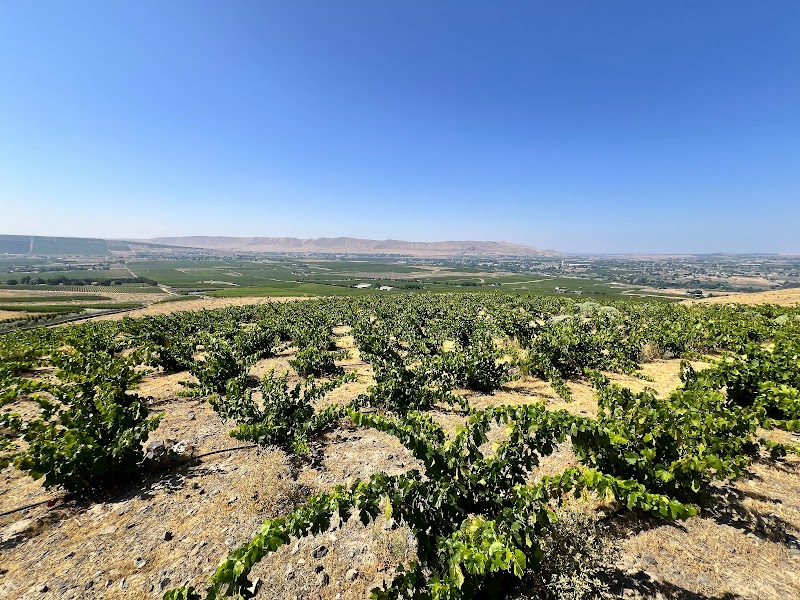 Photo of SAMĀ CELLARS