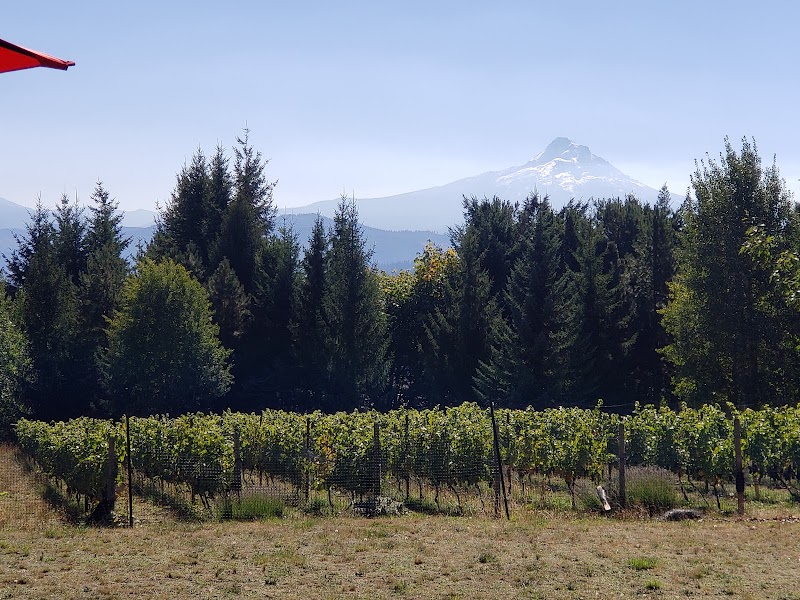 Photo of Hawkins Cellars WA
