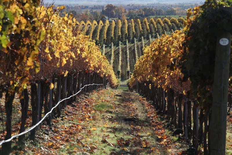 Photo of Sleight of Hand Cellars