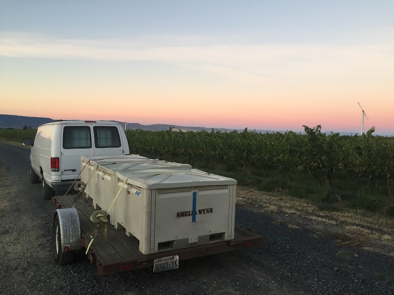 Photo of Amelia Wynn Winery