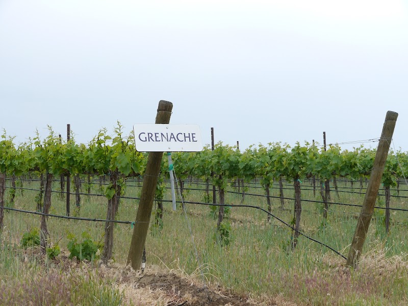 Photo of Amelia Wynn Winery
