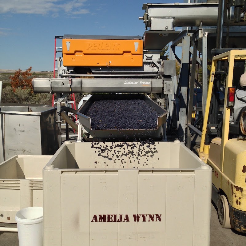 Photo of Amelia Wynn Winery