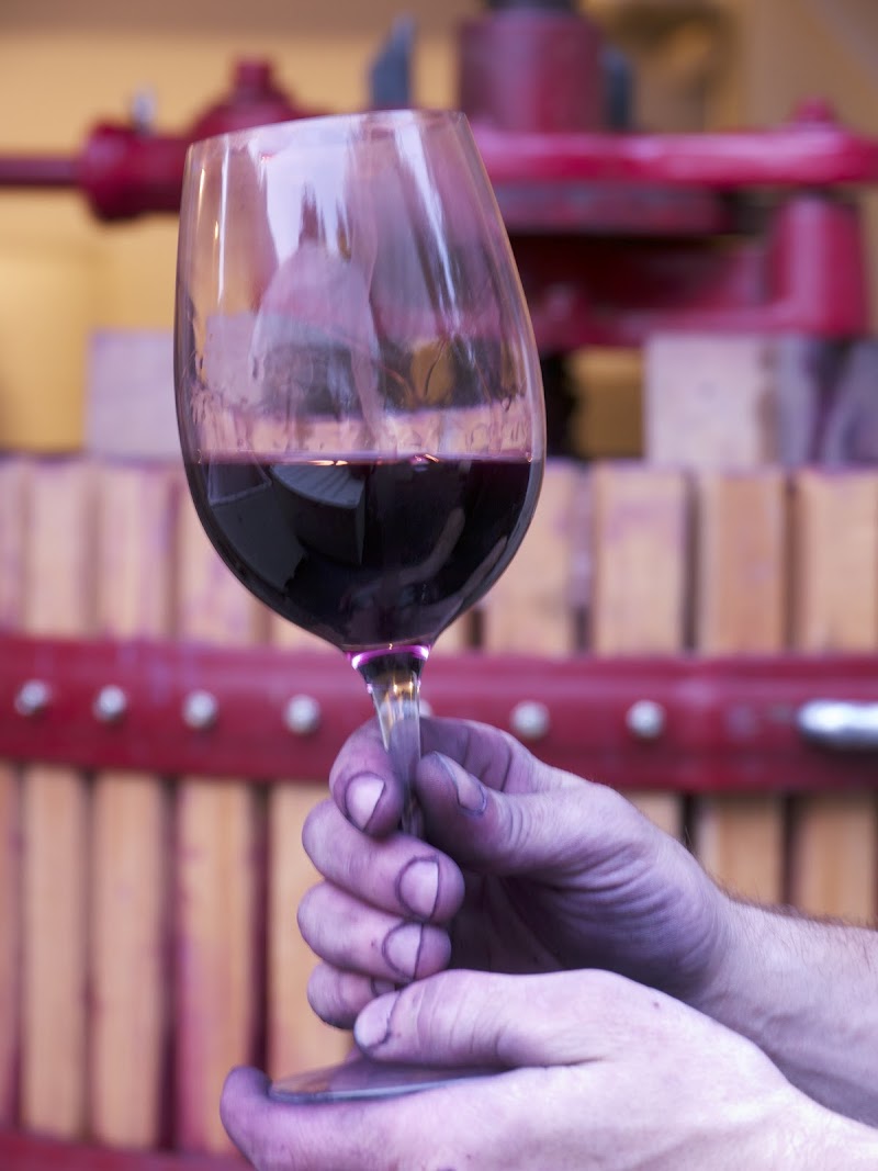 Photo of Amelia Wynn Winery