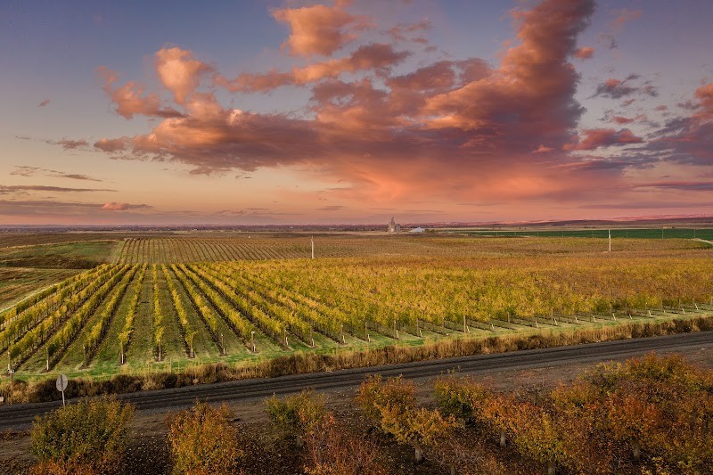 Photo of Capital Call Vintners - Walla Walla Tasting Room