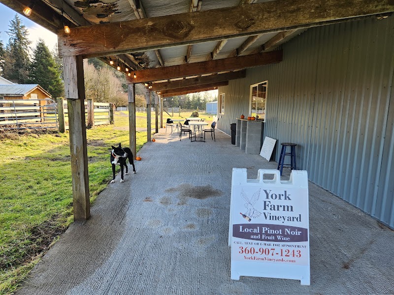Photo of York Farm Vineyard