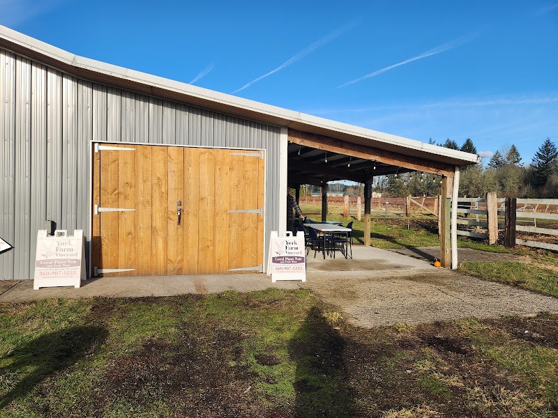 Photo of York Farm Vineyard