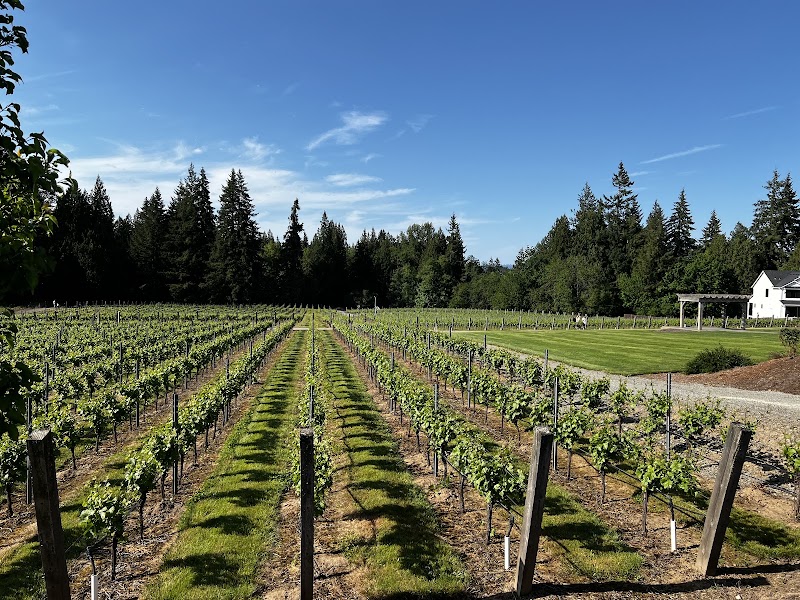 Photo of Windy Hills Winery