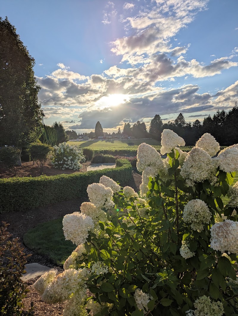 Photo of Windy Hills Winery