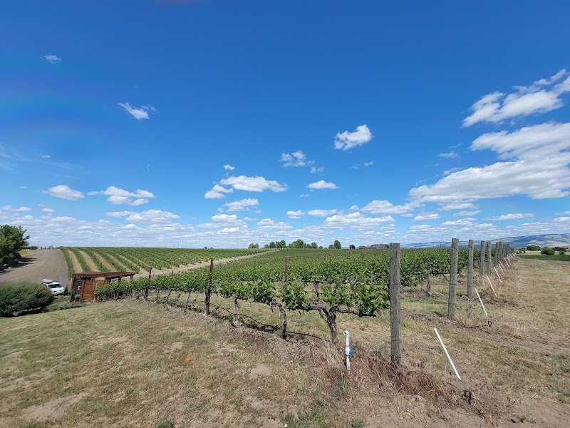 Photo of Va Piano Vineyards