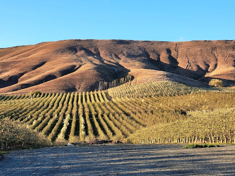 Photo of Freehand Cellars