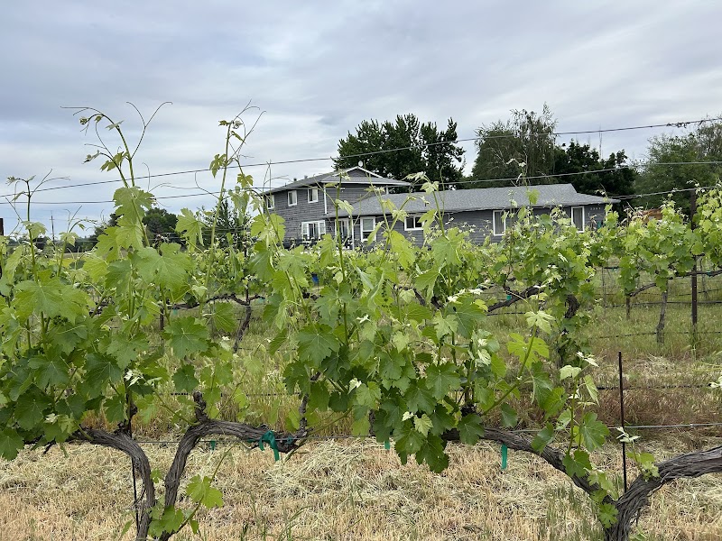 Photo of Velen Winery