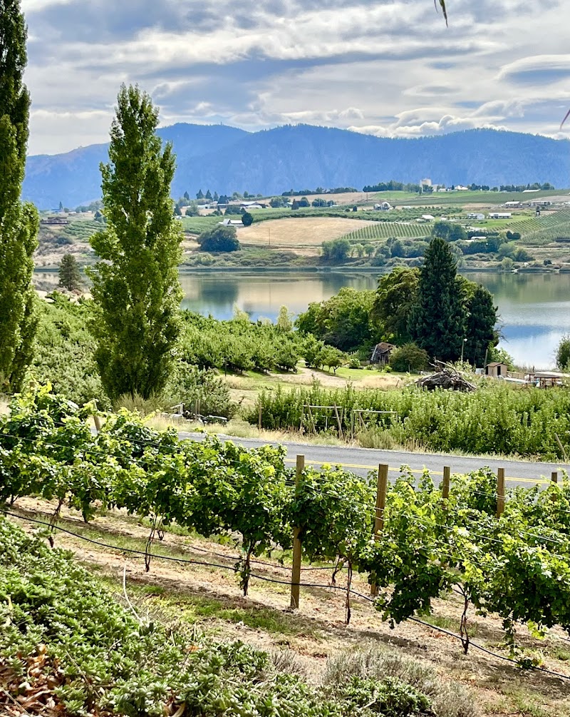 Photo of Tildio Winery