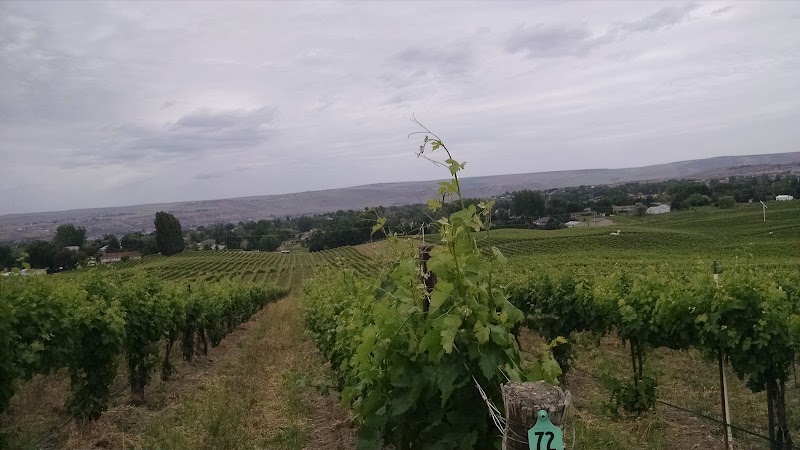 Photo of Badger Mountain Organic Winery