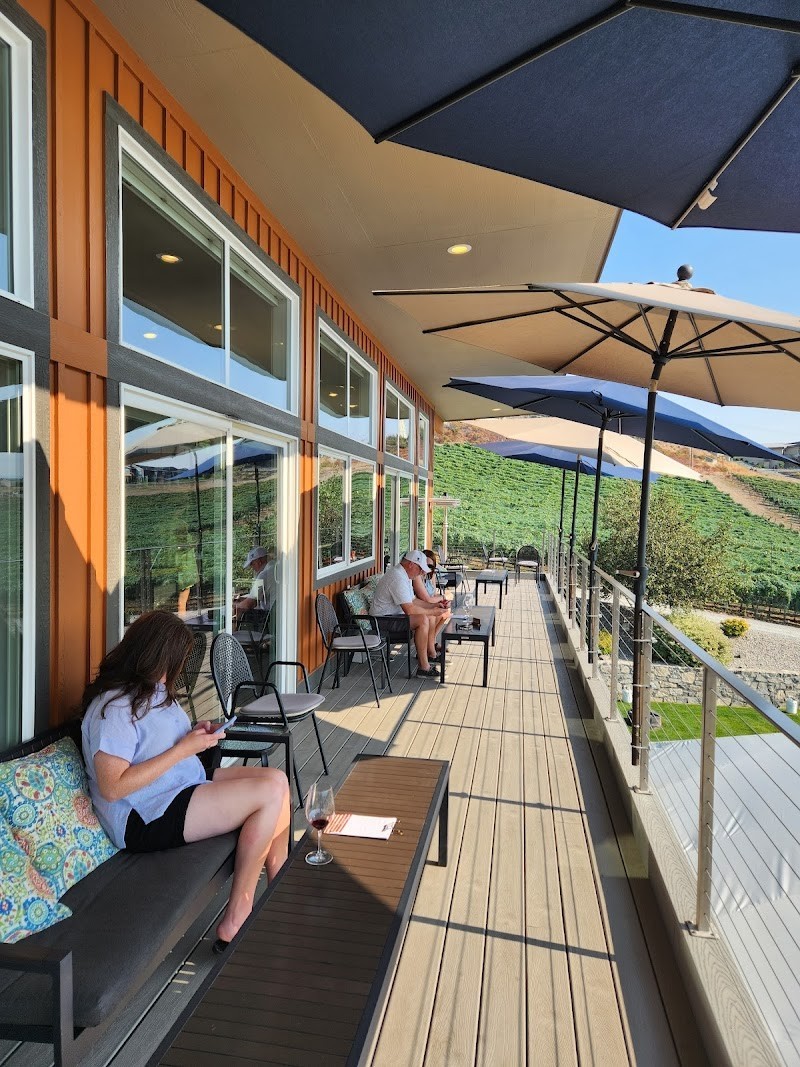 Photo of Amos Rome Vineyards