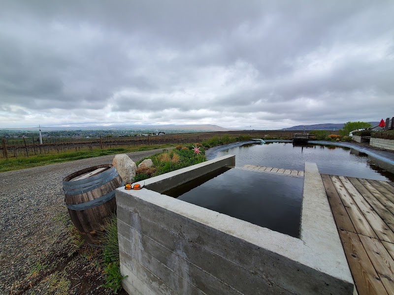 Photo of Upchurch Vineyard