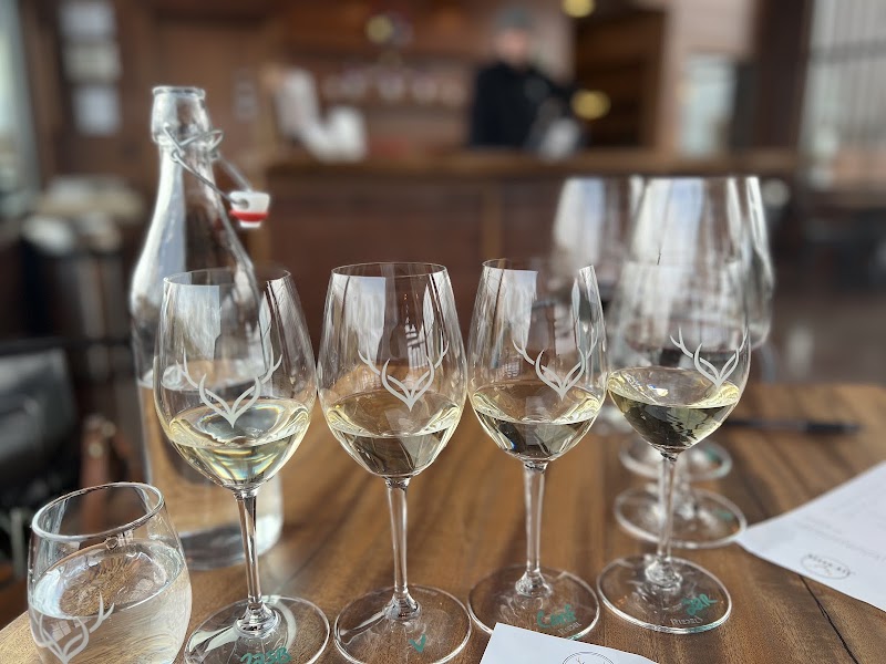 Photo of Elk Haven Winery