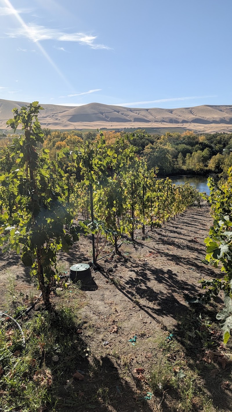 Photo of Elk Haven Winery