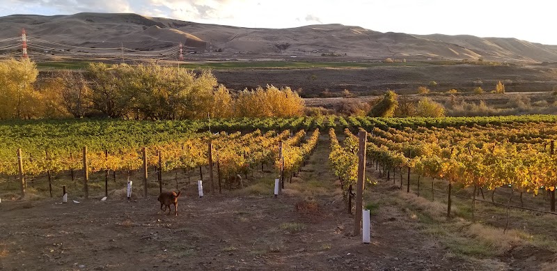 Photo of Heron Bluff Vineyard and Winery