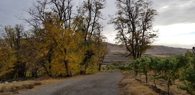 Photo of Heron Bluff Vineyard and Winery
