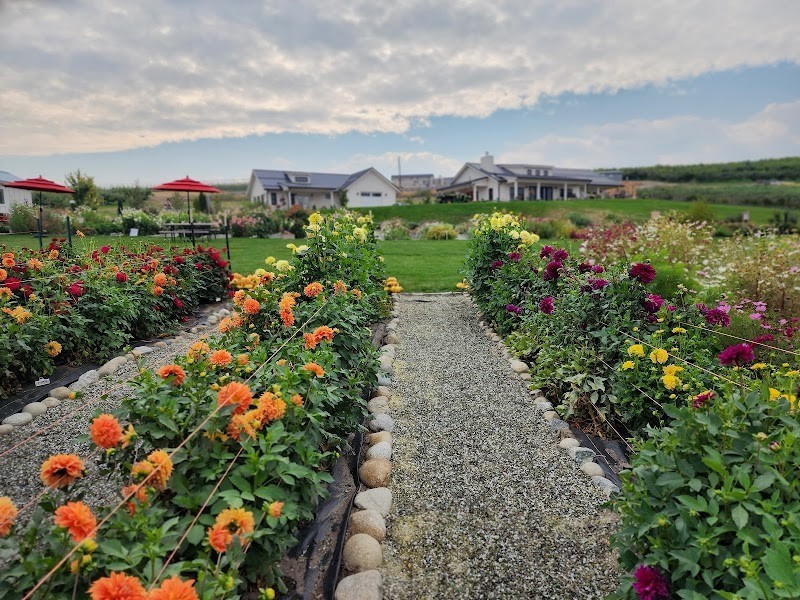 Photo of Chelan Valley Farms
