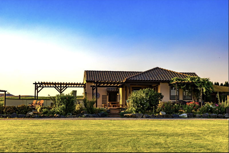 Photo of VanArnam Vineyards