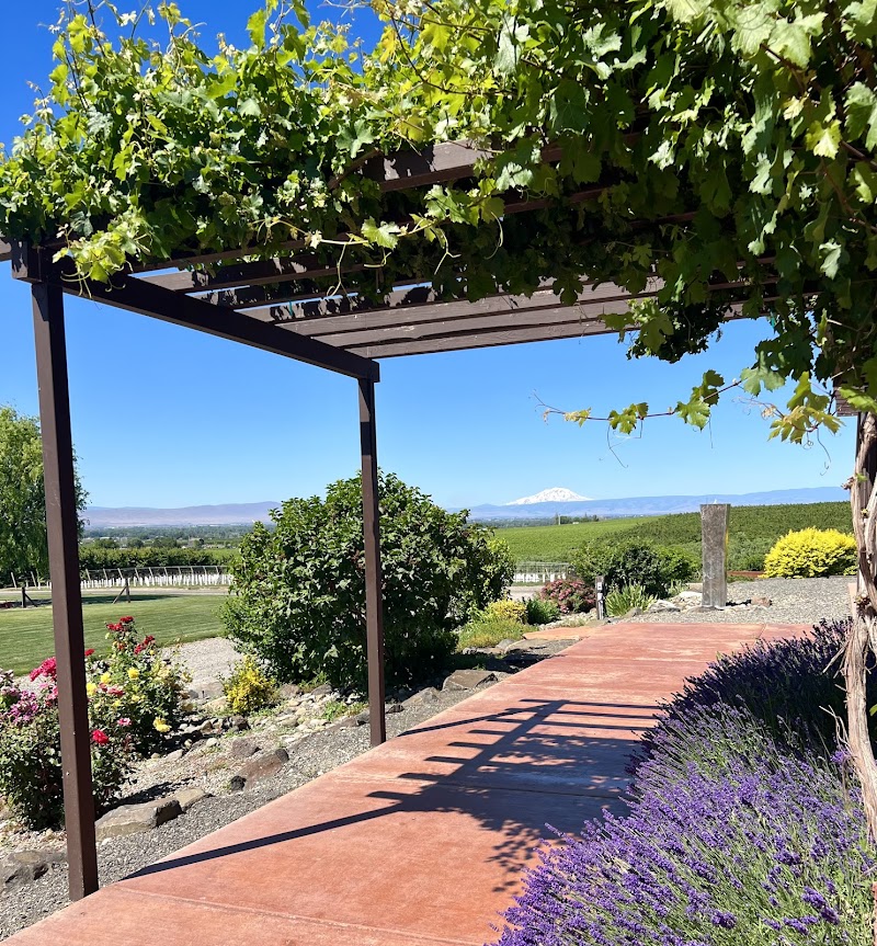 Photo of VanArnam Vineyards
