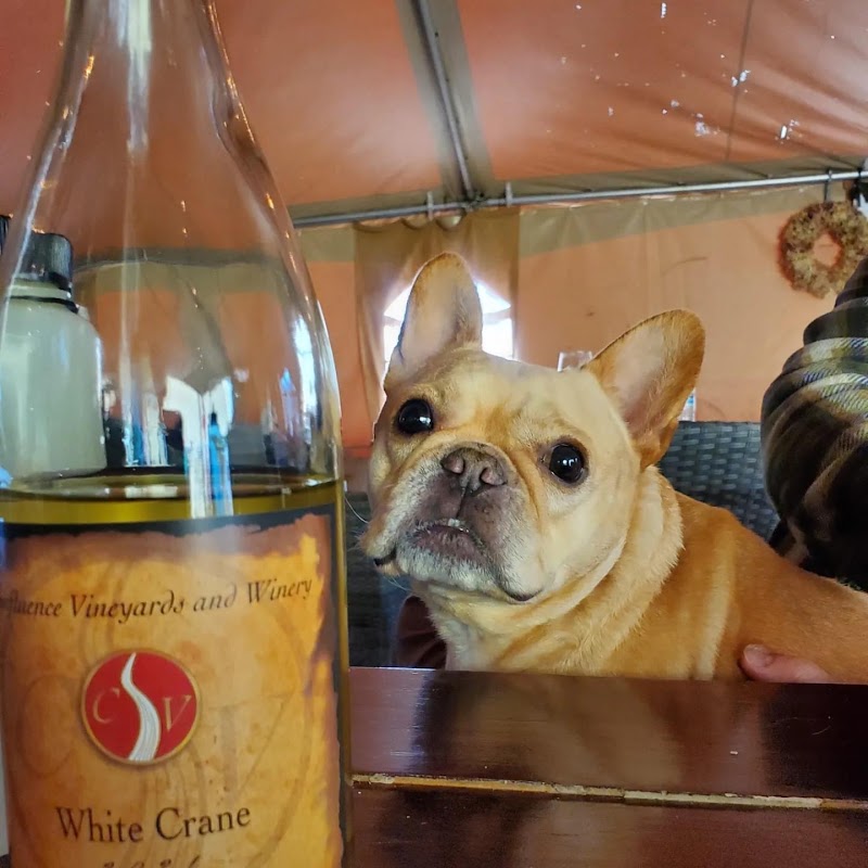 Photo of Confluence Winery