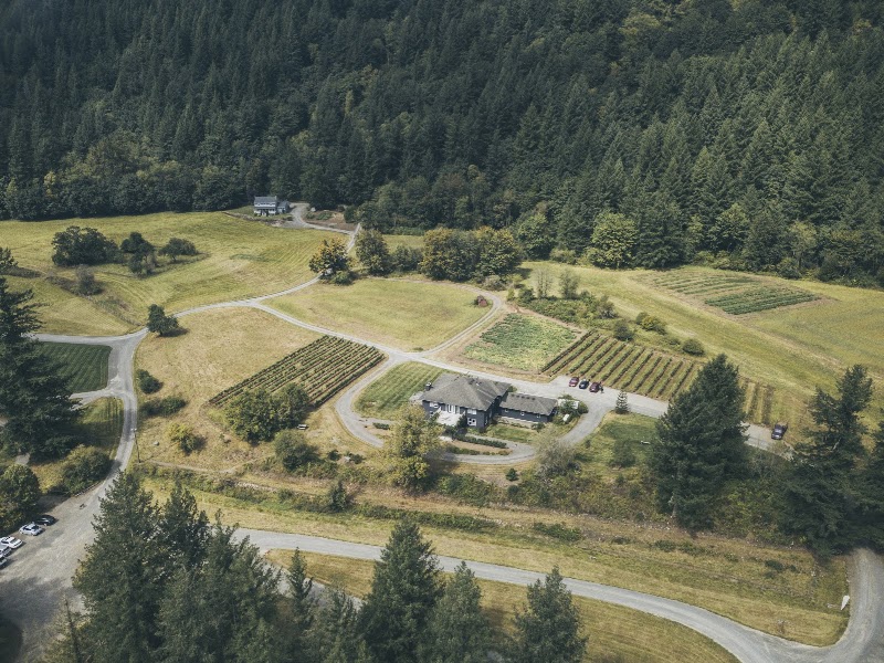 Photo of Pomeroy Cellars