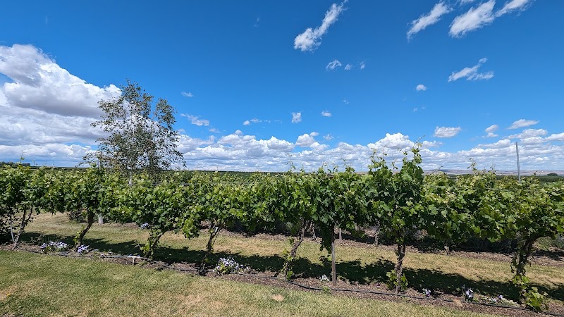 Photo of Beaumont Cellars Winery