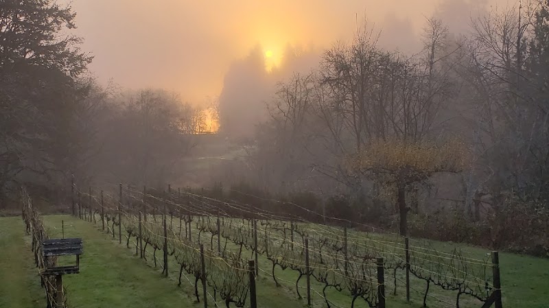 Photo of Olalla Vineyard & Winery