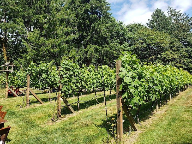 Photo of Olalla Vineyard & Winery