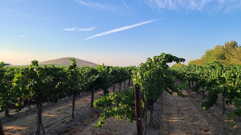 Photo of Goose Ridge Estate Vineyard and Winery