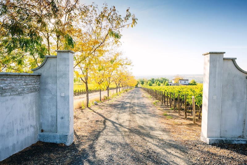 Photo of Domaine Magdalena