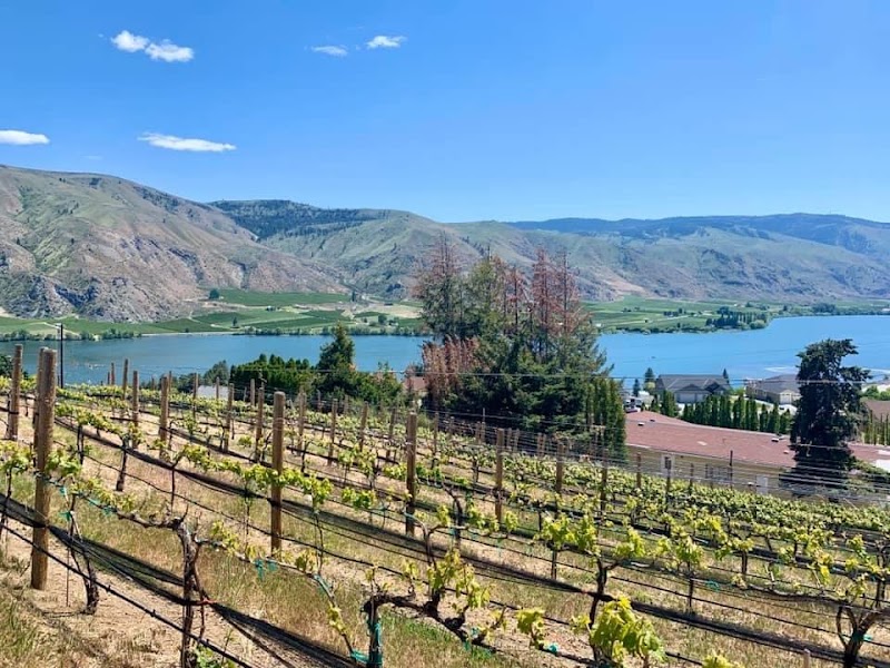 Photo of Longship Cellars