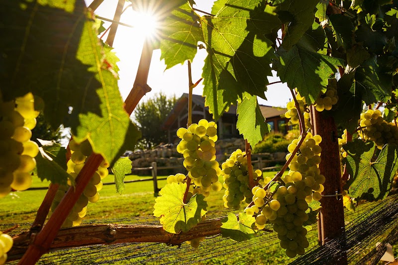Stave & Stone Winery