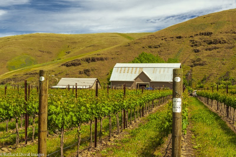 Photo of Mongata Winery